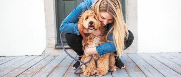 Honden laten kennismaken aan de lijn: wel of niet doen?