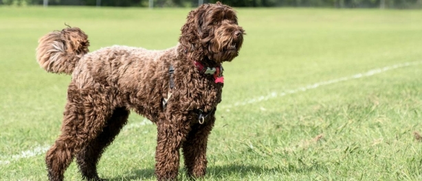 Consequent zijn, is belangrijker dan streng