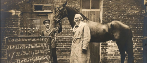 Het Clever Hans effect: Wat een rekenend paard ons leert over psychologie