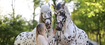 Education course: Human & Horse Training Method