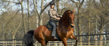 Human & Horse Training: Improving Lightness and Balance in the Saddle