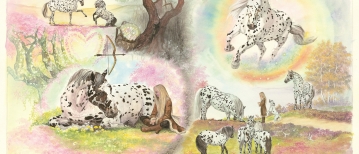 A Special Collaboration: Bringing the Magical World of Sandeloria to Life