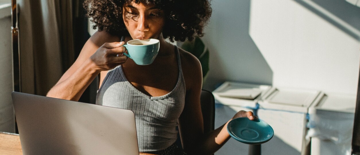 ¿Qué es Microsoft Publisher? - Softtrader