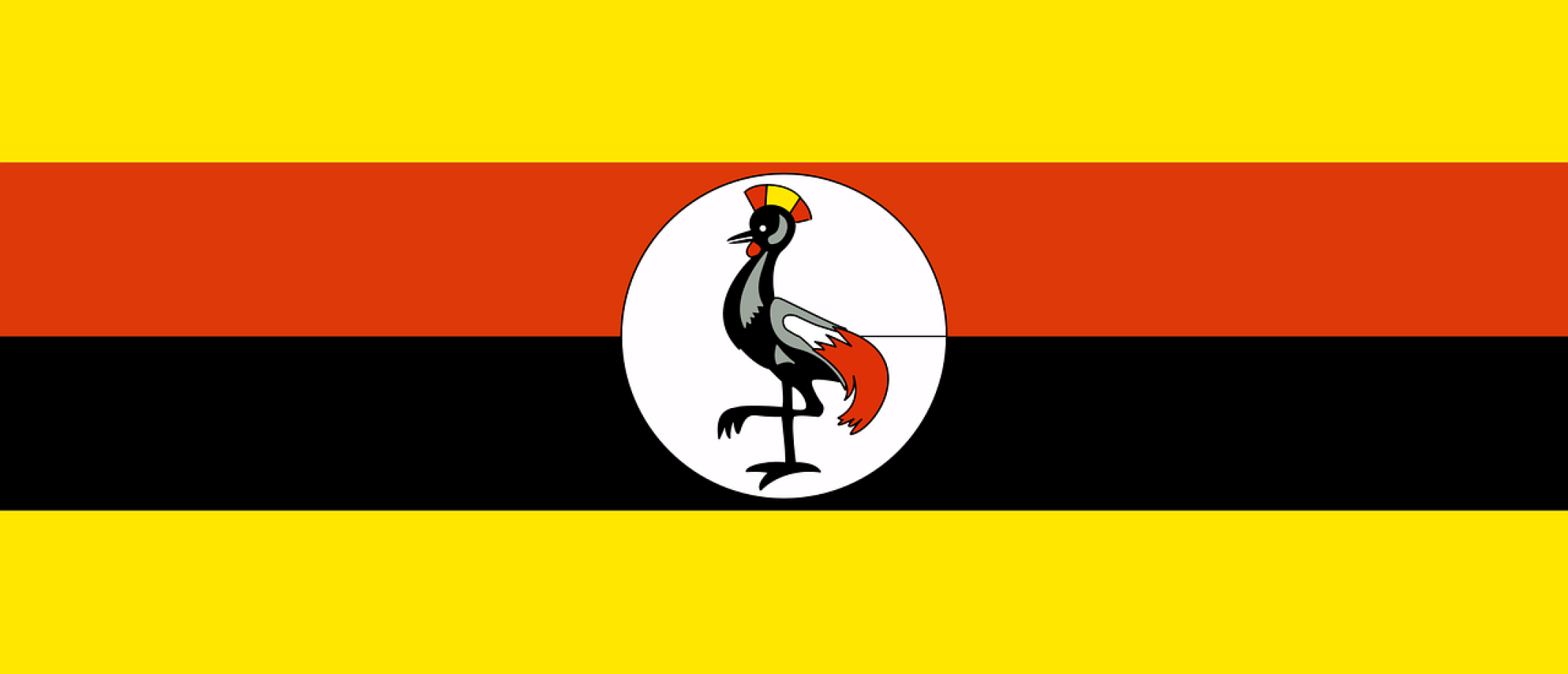 Step-by-step plan Uganda PCC
