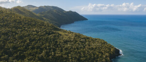 Saint Lucia Certificate of Character