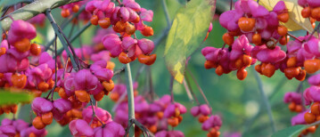 Persoonlijke doelen bereiken met waarderend onderzoek