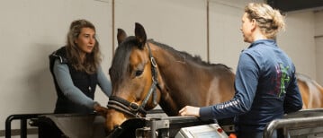 Aquatraining voor je sportpaard