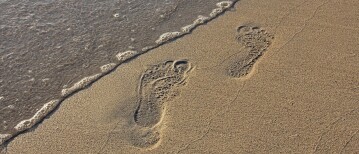 Werken vanaf het strand: zo combineer ik reizen met ondernemen