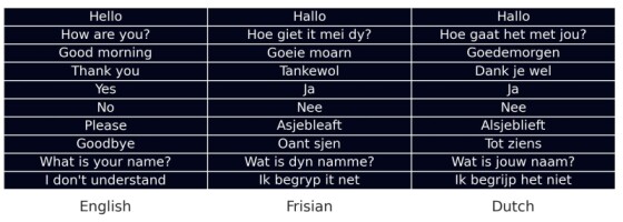 What Language in The Netherlands - A Complete Guide