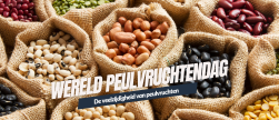 Wereld peulvruchten dag