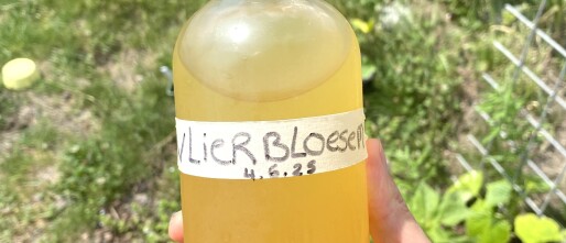 Vlierbessensiroop Recept