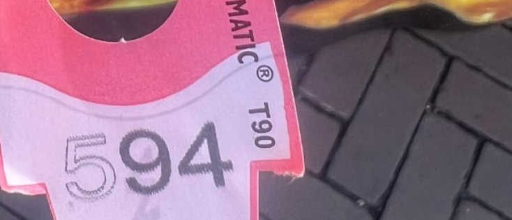 Je plek innemen met systemisch werk: rust en balans vinden in werk, familie en relaties