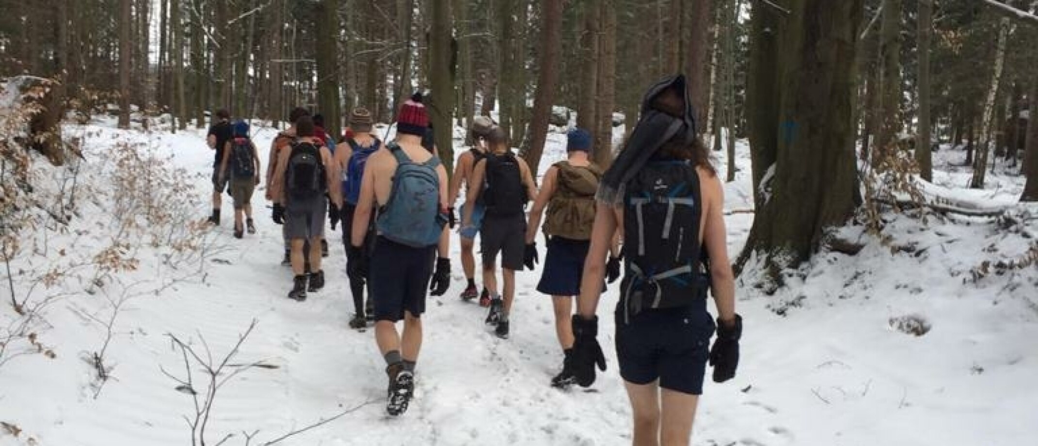 Nervus Vagus: de zenuw die je lichaam in balans houdt