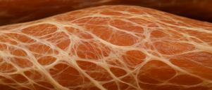 Gezonde fascia: waarom dit bindweefsel zo belangrijk is