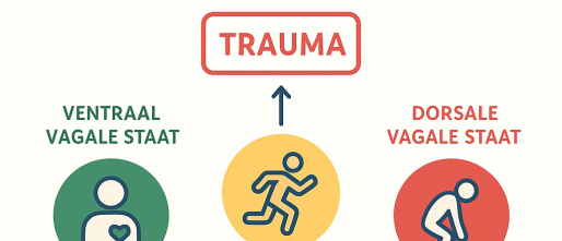 Polyvagaal theorie, trauma, ademwerk en koude training: hoe het samenwerkt