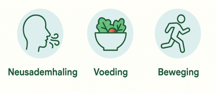 Boost je lichaam met stikstofoxide: eenvoudig via adem, voeding en sport