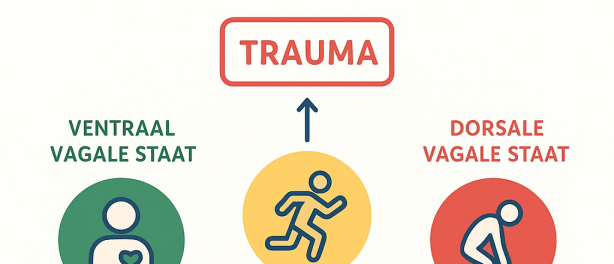 Polyvagaal theorie, trauma, ademwerk en koude training: hoe het samenwerkt