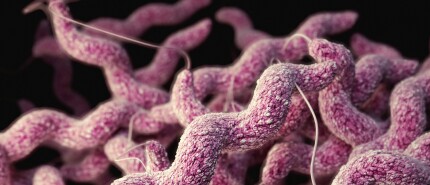 Candida in de darm - Mijn onderbuikgevoel