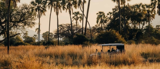 Noord-Tanzania of Zuid-Tanzania safari: welk circuit is beter?