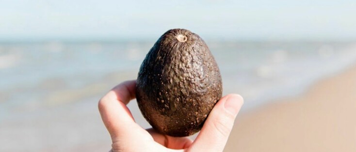 Waarom alleen praten niet altijd genoeg helpt – en wat dan wél kan werken bij stress, angst en onrust