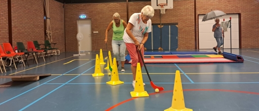 Valpreventie in Reimerswaal | Stabiel & Sterk bij Fysiotherapie SaFyR