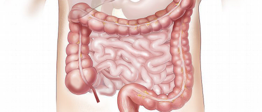 Answered: Why stress leads to gastrointestinal problems