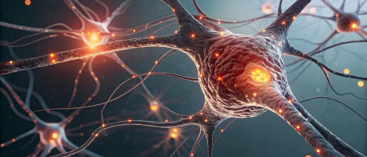 The Stressed Brain Doesn’t Just React — It Adapts: What Neuroscience Reveals About Chronic Stress