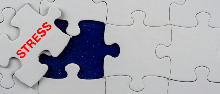 Why Stress Advice Often Falls Short — Understanding the Limits of Common Approaches