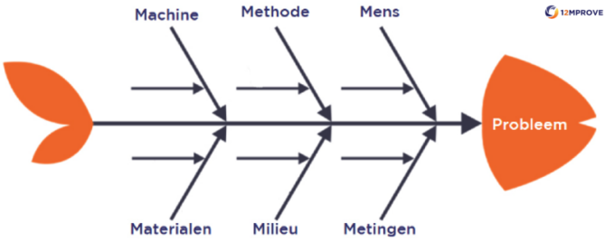 Visgraatdiagram, een tool om van probleem naar oorzaak te gaan.