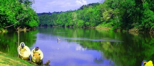 Fodu Winti – De Spirituele Sleutel tot Aardse Energie, Wijsheid en Voorouderkracht in de Surinaamse Winti-religie