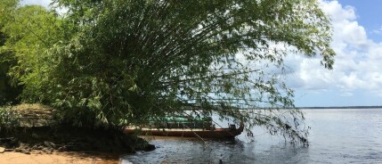 Vanaf Welke Leeftijd Krijg Je Winti? Ontdek de Magie van Spirituele Ontwaking en de Kracht van Je Voorouders 🌺