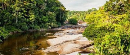 Heilige plaatsen in Suriname en hun betekenis spiritueelsuriname