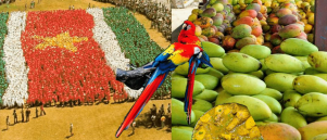 Luku binnen de Surinaamse spiritualiteit spiritueelsuriname