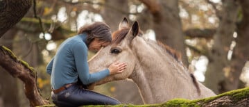Your problems are none of your horses business...