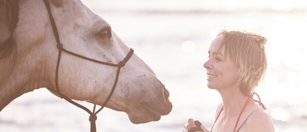 Mindset around horses...