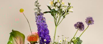 Florinca Pinot onmisbaar is in jouw zomerse plukboeketten