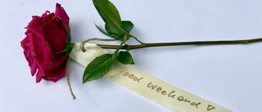 Ik twijfelde even: moet ik hier wel een blog over schrijven?
