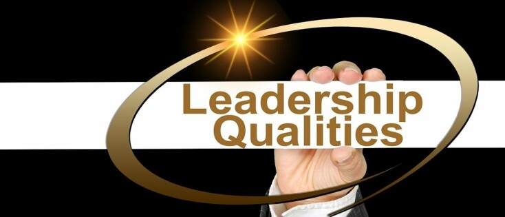 Managementtrainingen met paardencoaching: Een nuchtere aanpak naar authentiek leiderschap