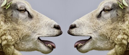 De impact van non-verbale communicatie in leiderschap