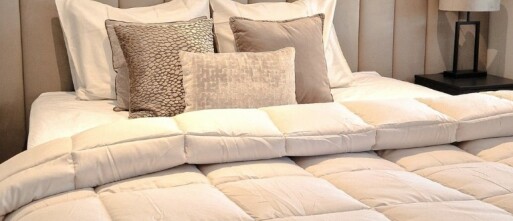 Zelesta dekbed kopen? Dit zijn de 5 best geteste dekbedden!