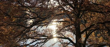 Een weekend in het woud: Grandvoir op z’n allermooist