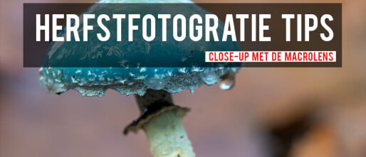 Herfstfotografie tips – close-up met de macrolens