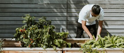 DIY-tuinieren en tuindecoratie