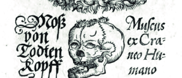 Schedelmos en oude Geneeskunde