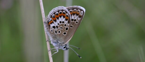 Tuesday 9th July 2013