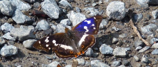 Friday 11th July 2014