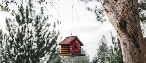 Het belang van biobased materialen bij ruimteverbetering