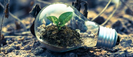 Zijn biobased materialen brandveilig?