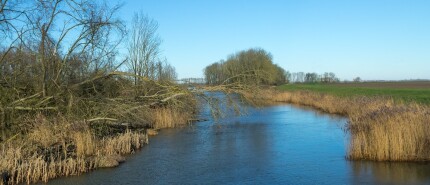 Wandelen in het Nationaal Park de Biesbosch. De 7 mooiste routes