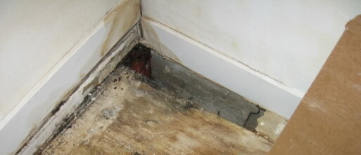 Vochtproblemen in huis? Dit moet je weten voor een gezond en comfortabel thuis